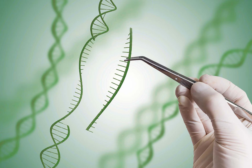 Syngenta opens rights to genome-editing and breeding technologies